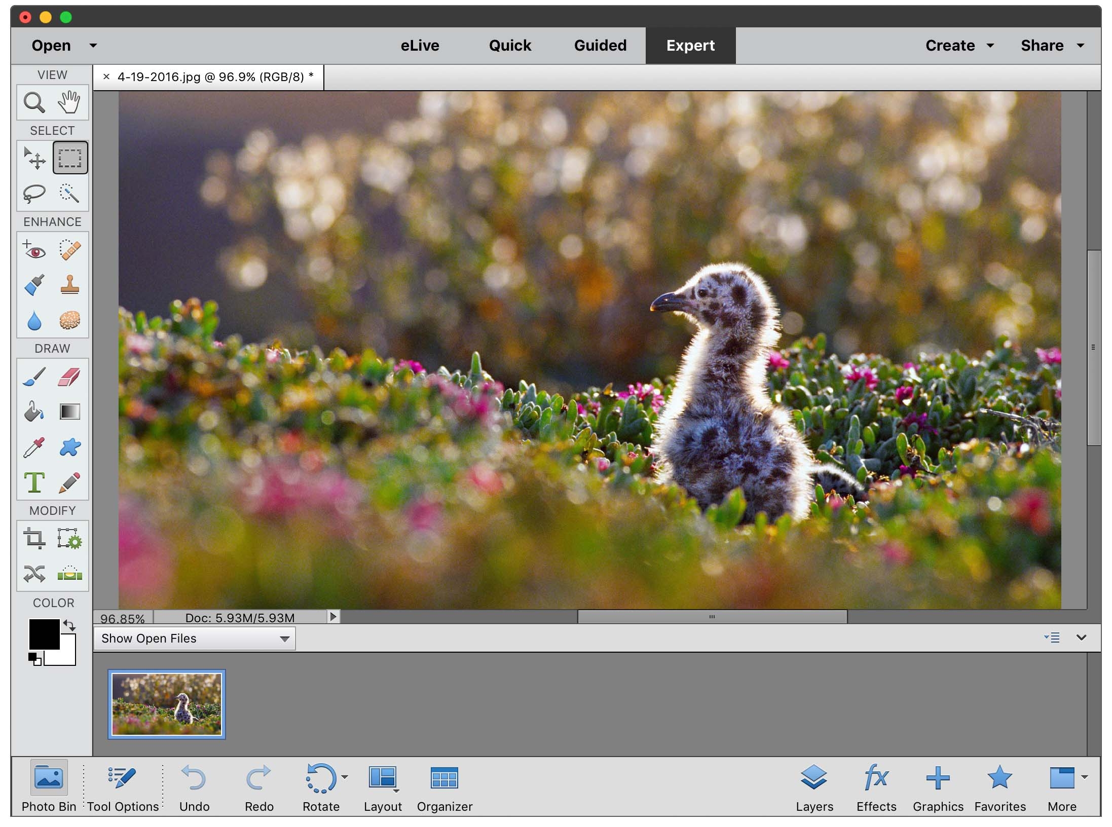 Free Photo Editor Software For Mac Like Photoshop
